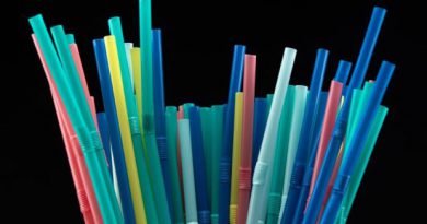 Johor set to ban plastic straws