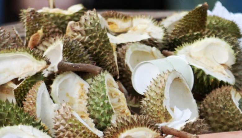 Demand for durians threatens tigers, water supply in Malaysia as jungles razed
