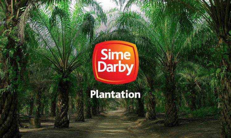 Sime Darby Plantation declines 3.4% to lowest level in 11 months