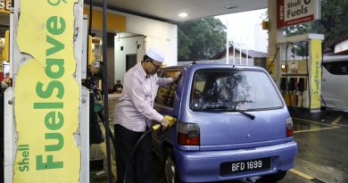Govt to roll out targeted fuel subsidy in stages after March 2019, minister says