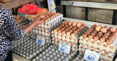 Lay Hong makes a loss in Q2, expects egg prices to recover
