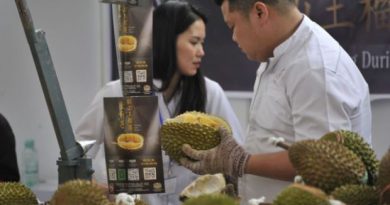 Malaysia bets on durian as China goes bananas for 'world’s smelliest fruit'