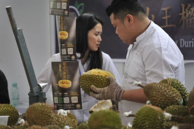 Malaysia bets on durian as China goes bananas for 'world’s smelliest fruit'