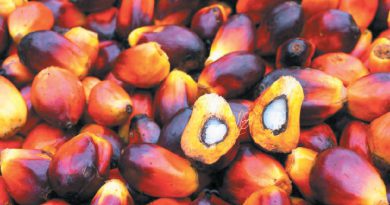 Malaysia's Nov palm oil stocks seen at 3 mil tonnes