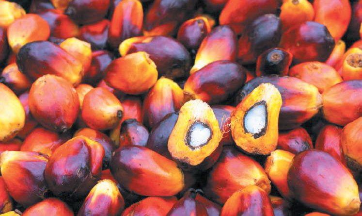 Malaysia's Nov palm oil stocks seen at 3 mil tonnes