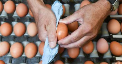 Malaysia may stop or limit egg exports to maintain local market supply: Minister