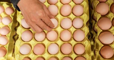 Malaysia on the hunt for an egg cartel after prices jump