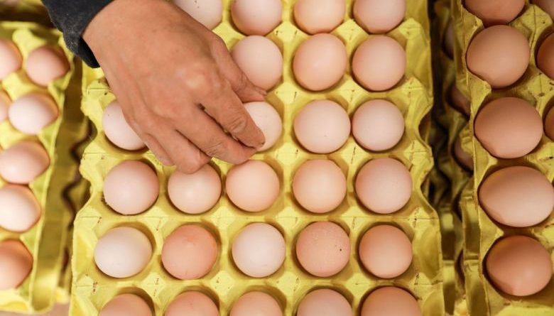 Malaysia on the hunt for an egg cartel after prices jump