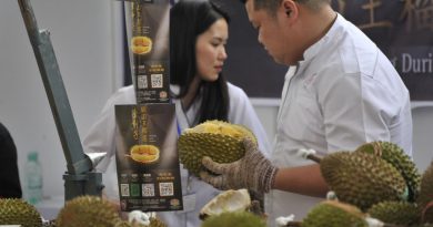 Chinese funds fuelling boom in Malaysia's durian plantations