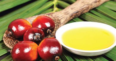 Malaysia reviewing palm oil export taxes amid bulging stockpiles