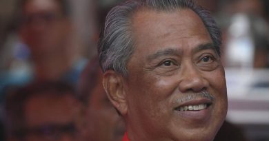 Bersatu has role to enhance bumiputera stake in Malaysia's economy: Muhyiddin