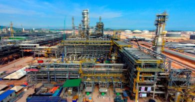 Petronas starts trial runs at crude distillation unit for Rapid
