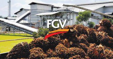 FGV advances 12%, climbing most in more than three years