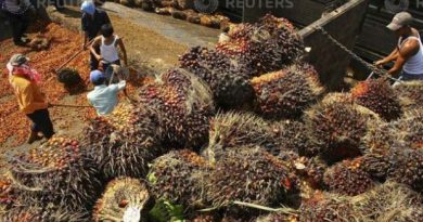 MPOC lambasts WHO over negative remarks on palm oil lobbying