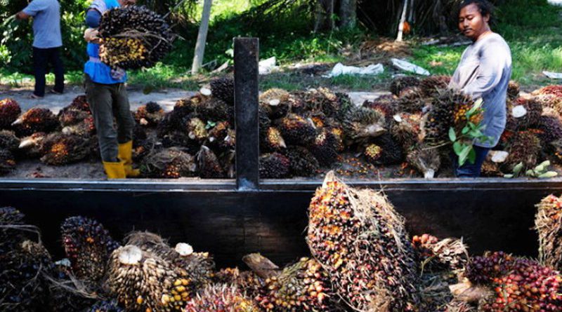 Malaysia to double palm oil use in biodiesel by 2020