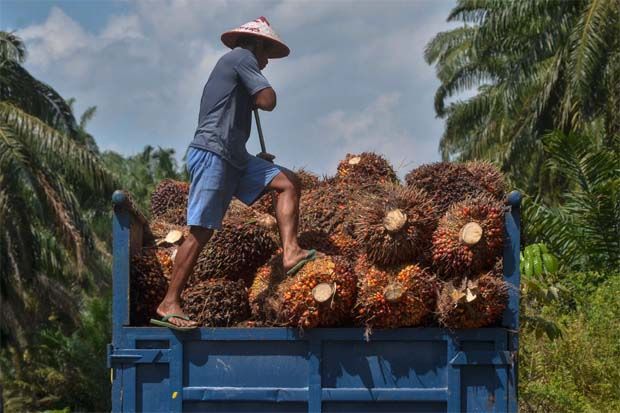 Malaysian palm oil price closes lower for 4th day on weaker soyoil