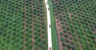 Malaysian palm oil/Vegoils: Market factors to watch Thursday March 7