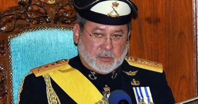 Johor Sultan: Focus on helping rakyat