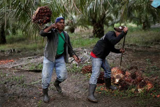 Malaysian palm oil price slides on overnight soyoil losses