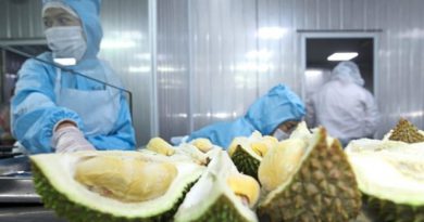 ‘Export won’t hit durian prices’
