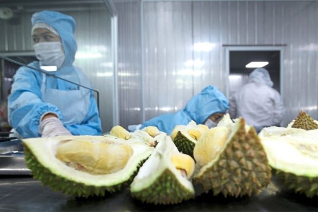 ‘Export won’t hit durian prices’