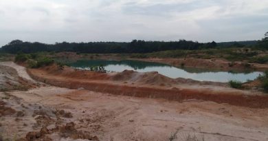 Singapore Public Utilities Board’s waterworks in Johor stop operations after ammonia contamination