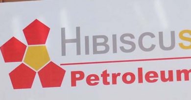 Hibiscus unit gets positive update on Cook oilfield