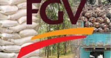 FGV terminates paper pulp plant MoU with CMEC