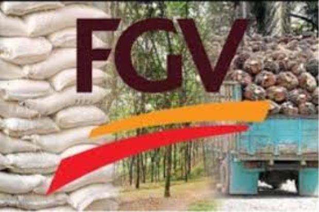 FGV terminates paper pulp plant MoU with CMEC