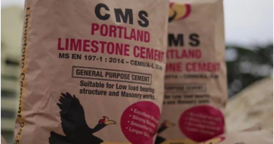 Ministry investigating CMS cement following price hike