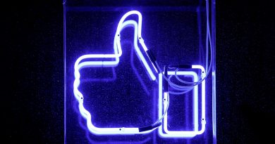 Facebookâ€™s like button makes websites liable, top EU court rules