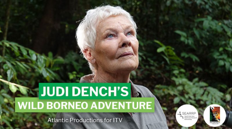 Actress Judi Dench’s stint in Sabah opened her eyes to ‘complex issue’ of palm oil industry