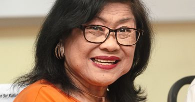 Rafidah: Don’t let one irrelevant foreigner divide us