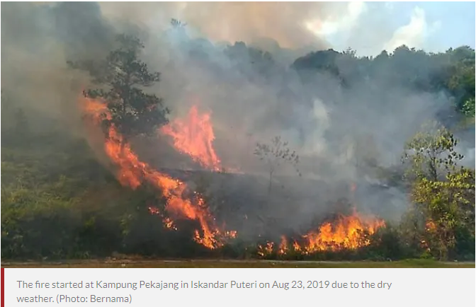Forest fire in Johor spreads to 98 hectares