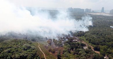Group concerned over environmental impact of fire