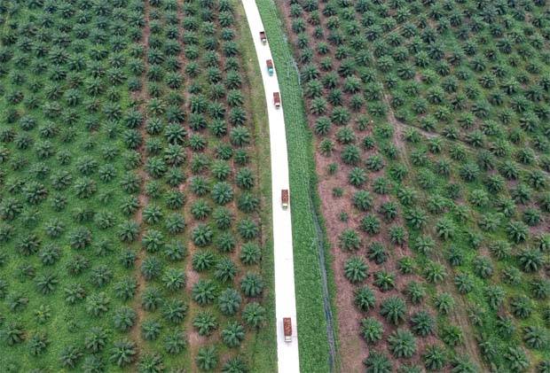 Malaysia hopes to pay for military equipment with palm oil