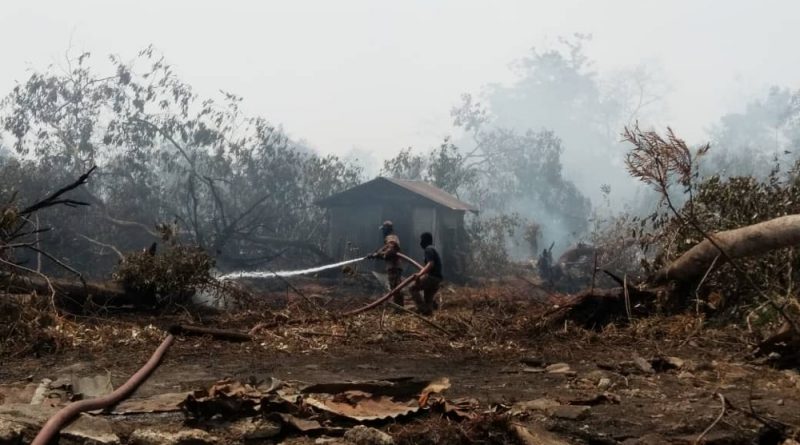 Johor schools closed due to forest fire to reopen tomorrow, says state education dept