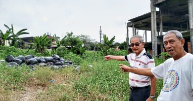 Abandoned site with snakes a risk for residents