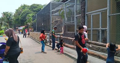 Zoo keepers monitoring animals