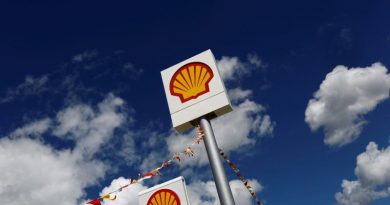 No choice but to invest in oil, says Shell CEO