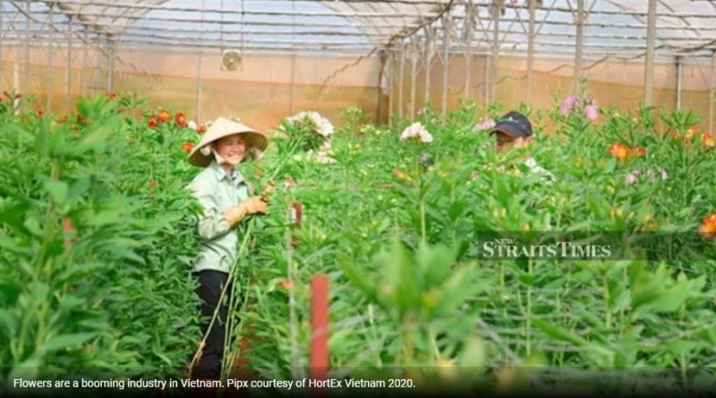 Malaysia-Vietnam trade boost