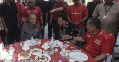 Dr M: Putrajaya wants to know reason for CAAM downgrade