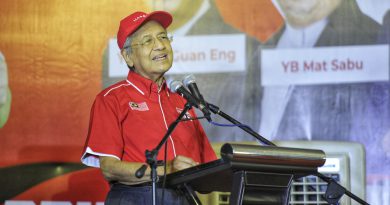 In Tanjung Piai, Dr M pleads with voters for more time to ‘cure’ economic malaise
