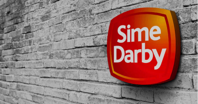 Sime Darby Bhd builds up war chest to buy hospitals, car sellers