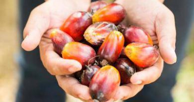 Analyst: India to rely on M’sia reasonably priced palm oil
