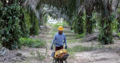 Malaysia, Indonesia to set up fund to fight palm oil critics