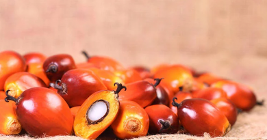 Netherlands sees bright future for Malaysian palm oil industry