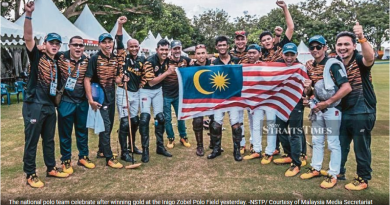 Malaysia gallop to gold on borrowed horses