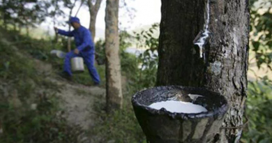 Rubber sector’s profit likely to increase 0.9% yearly