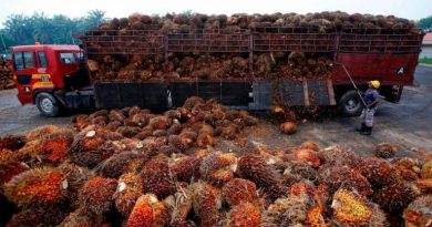 Fears of weaker China demand for palm oil products temporary: Affin Hwang